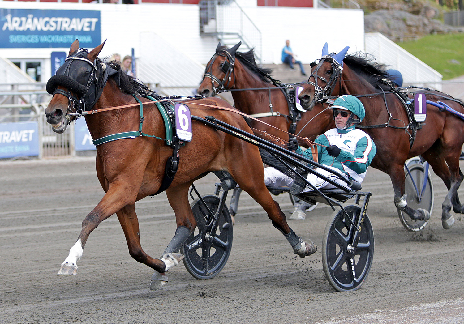 Futurity 250531 ALN